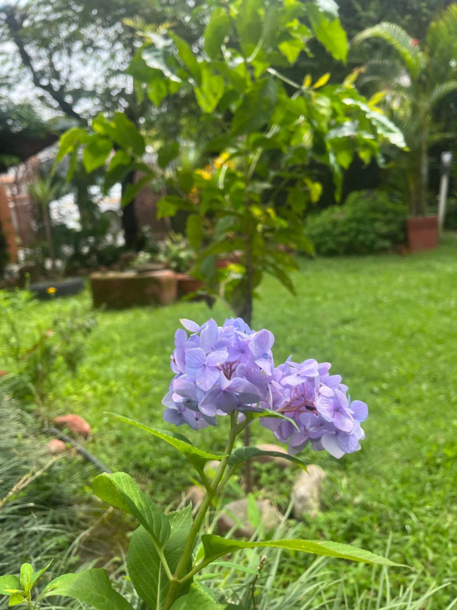Cherry Garden Pokhara Luaran gambar